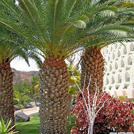 Hotel Beatriz Costa &
