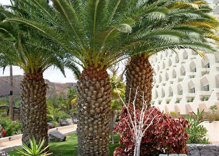 Beatriz Costa & Ξενοδοχείο Costa Teguise